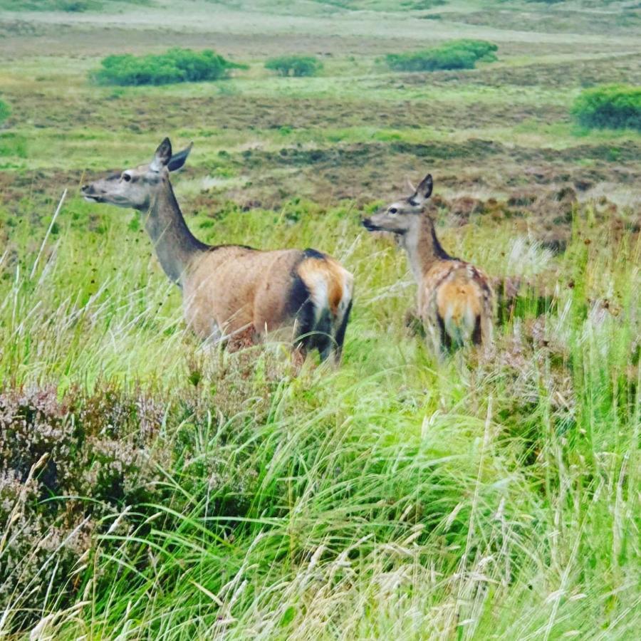 Deer Green Place Villa Kinloch Екстериор снимка